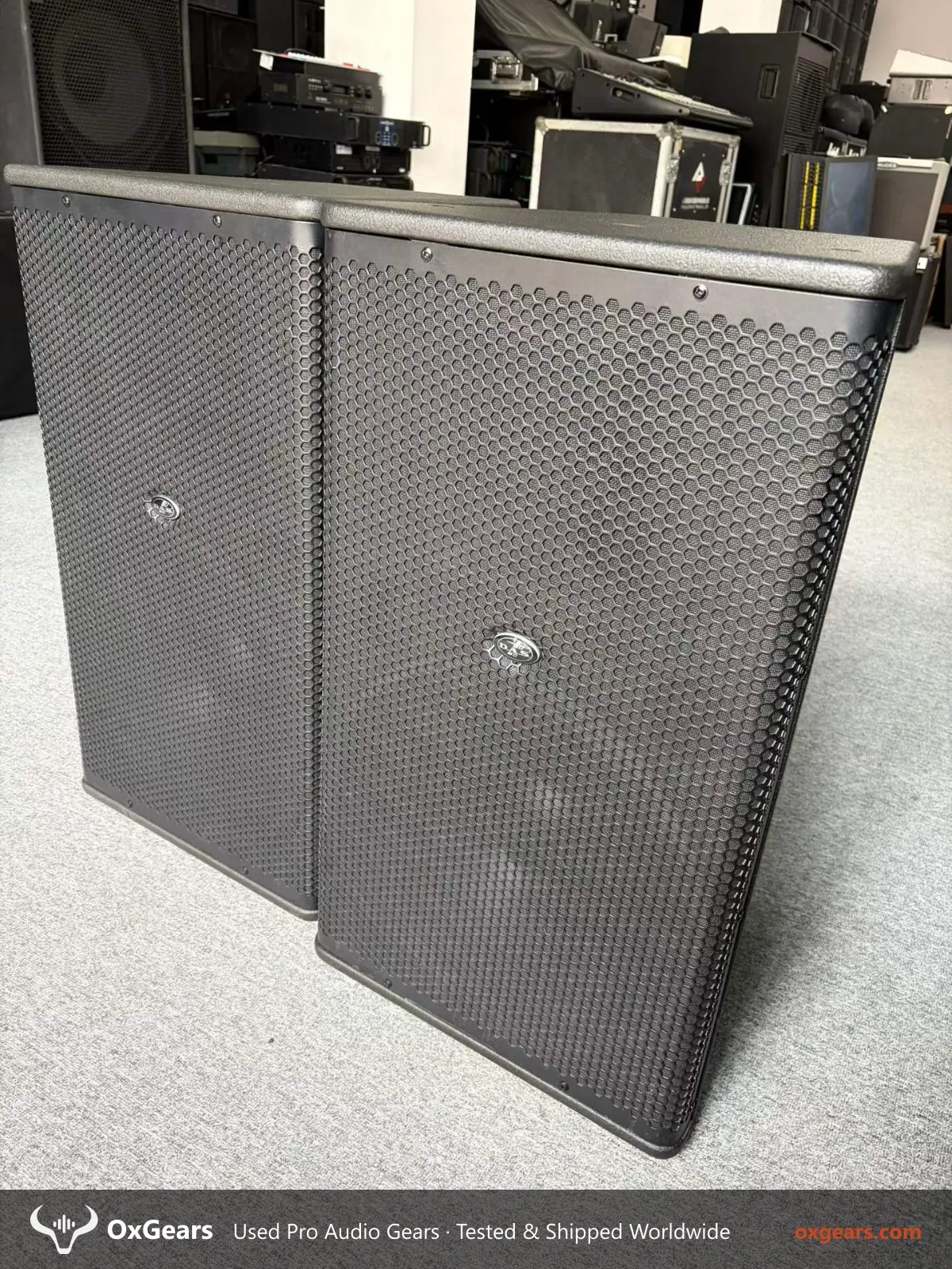 d&b RF-15.85 Full-Range Loudspeaker 2