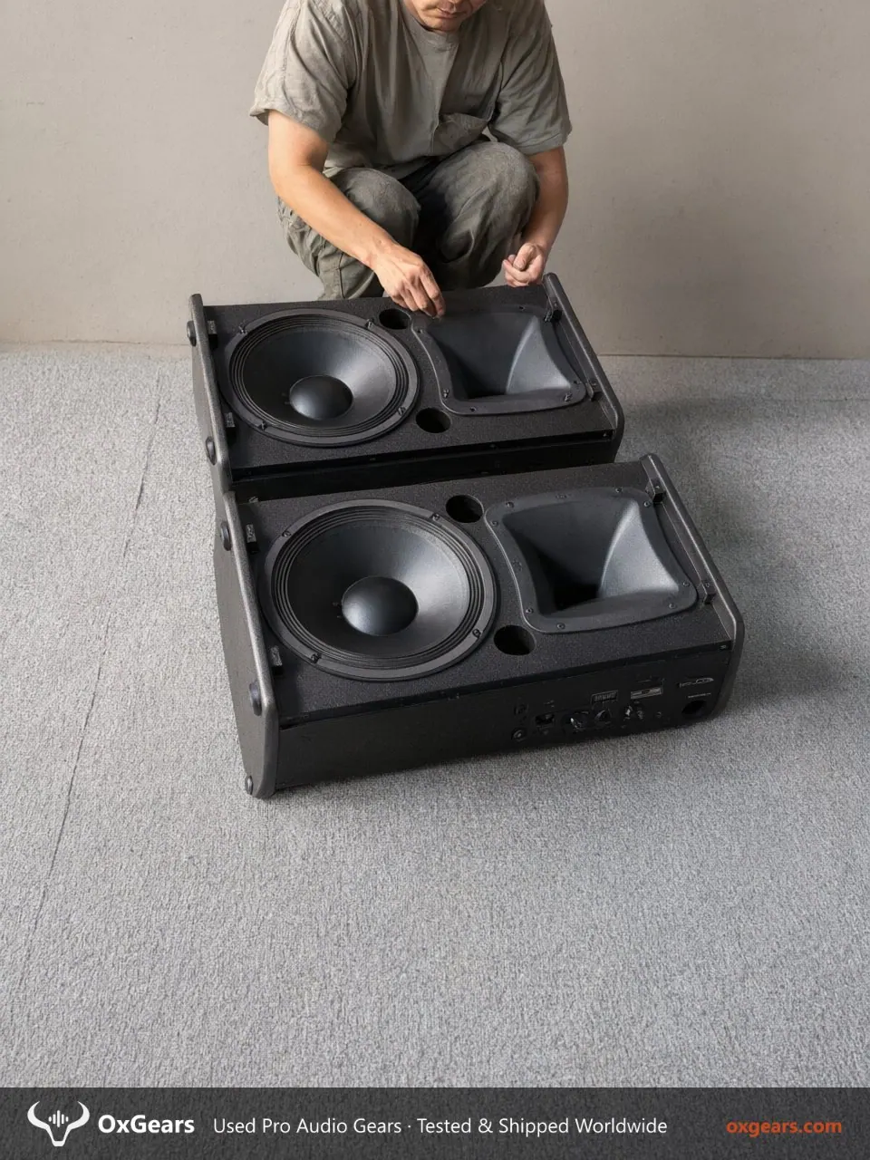 d&b RF-15.85 Full-Range Loudspeaker 5