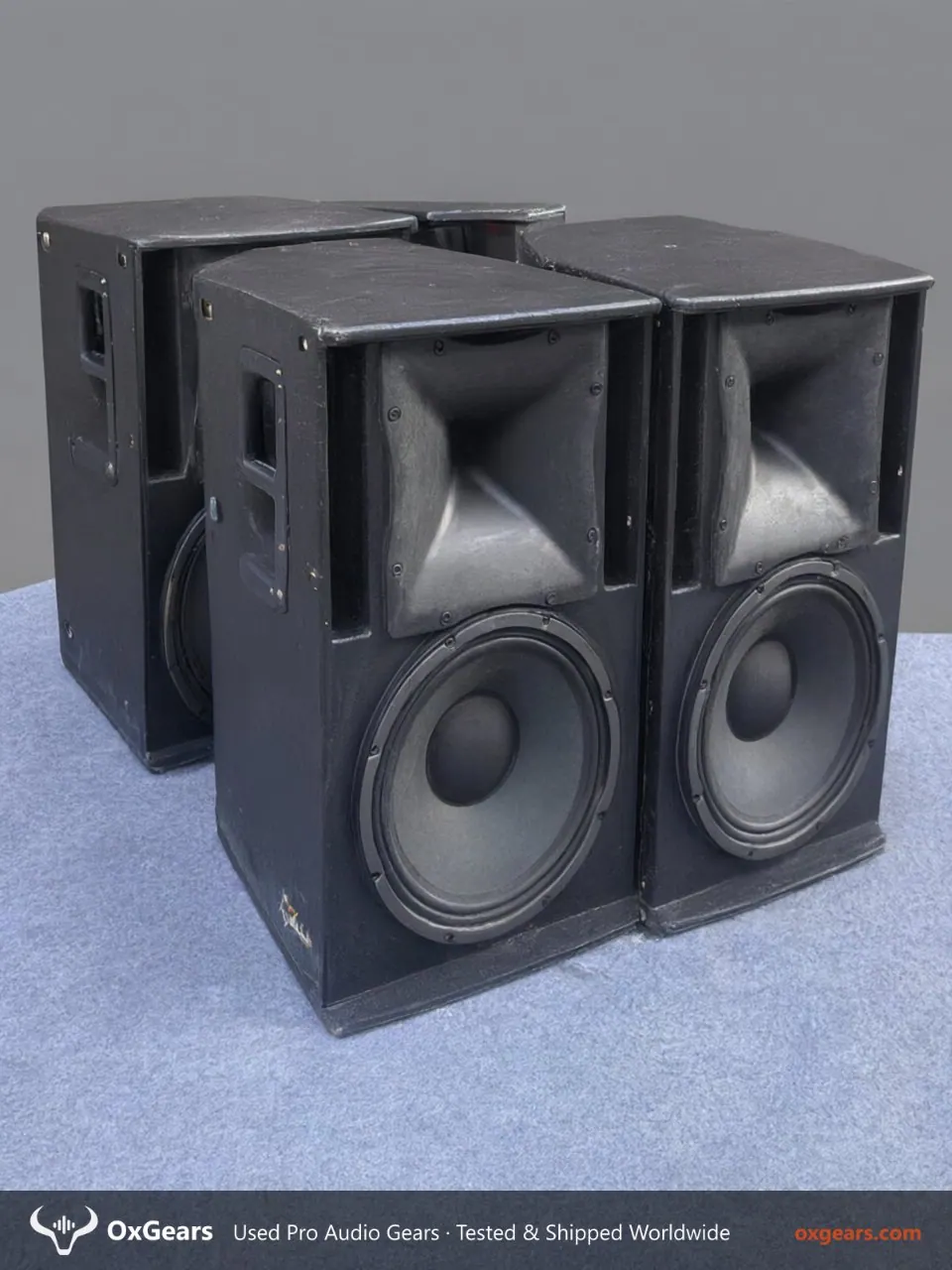 DONBN DW-12 Enceinte professionnelle pleine bande 5